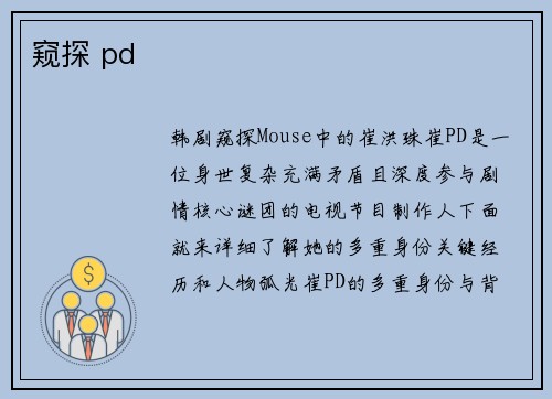 窥探 pd